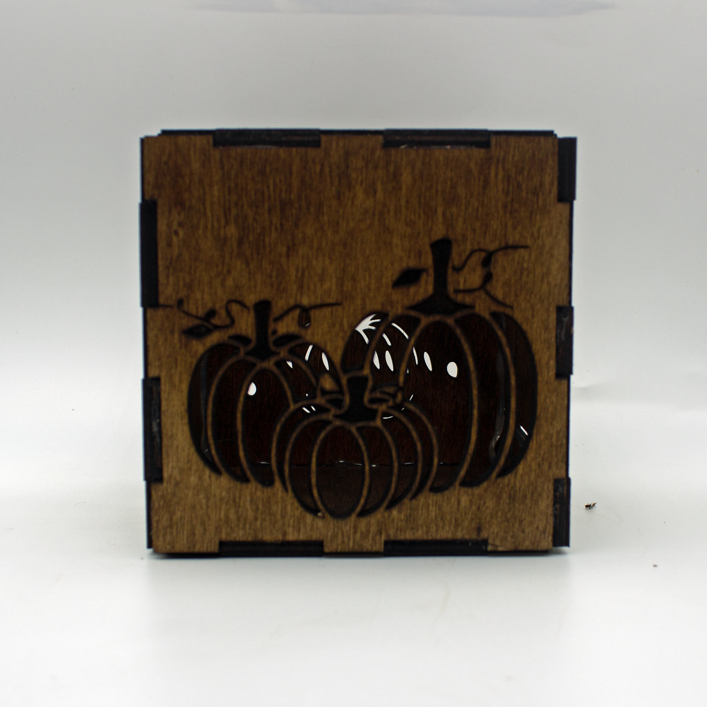 Fall Decor Light Box